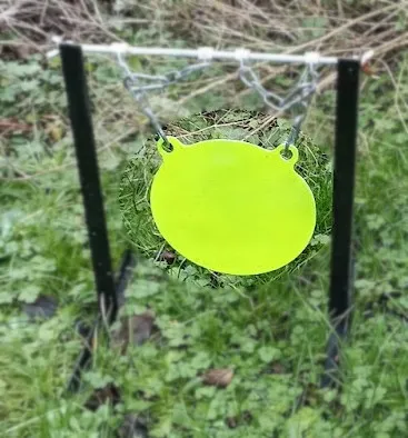 Air Rifle 8 Inch Round Gong Airgun Target - 3mm thick -disk only