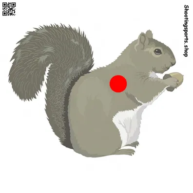 Squirrel Target - Paper 17cm x 17cm (1)