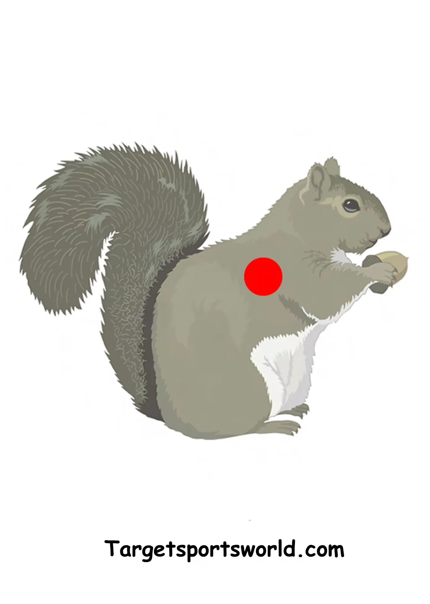 Squirrel Target - Paper A4 (1)